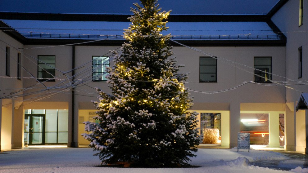 Dekoratives Bild mit einem Weihnachstbaum auf dem Mensavorplatz