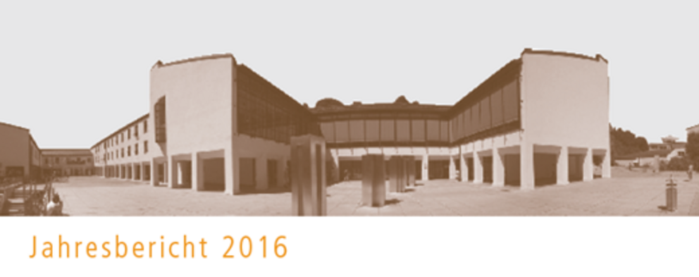 Jahresbericht 2016