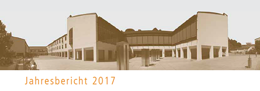 Screenshot Jahresbericht Bibliothek 2017
